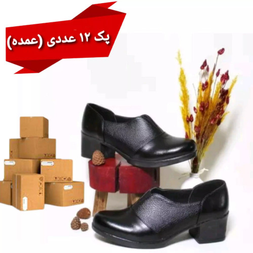 پک 12 عددی فروش عمده کفش مدل هفتی شرانگ