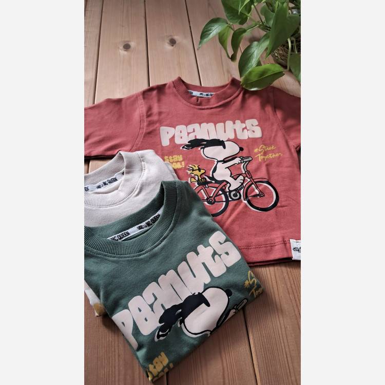 تیشرت تک پنبه اقتصادی پسرانه سایزبندی شده